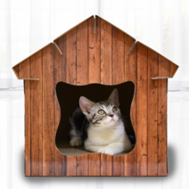 딩동펫 고양이 스크래쳐 아늑하우스, 다크우드, 1개