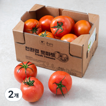친환경 인증 토마토, 3kg, 2개
