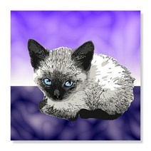 디아섹액자 벽걸이용, A Siamese kitten