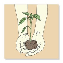 디아섹액자 벽걸이용, Plant Hands