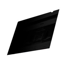 에스뷰 정보보안필름 SPFAG2-10.1W9, 10.1in, 1개