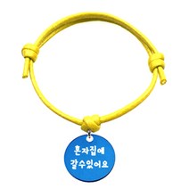 펫츠룩 반려동물 굿모닝 옐로 목걸이S 알미늄원형M, 블루(혼자집에갈수있어요), 1개