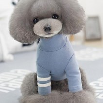 아이앤엘 강아지 폴라 티셔츠, 하늘