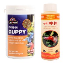 와이비 구피 전용사료 중 + 구피 비타민 120ml, 1세트