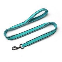 제제펫 반려견 반사광 밴드 리드줄, G378PDRL112