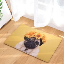 노랜드 퍼그 캡 style 다용도 발매트, 14