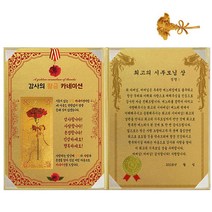 럭키심볼 황금 카네이션 감사장 + 24K 골드 카네이션 전자파 스티커, 1세트, 최고의 시부모님 상
