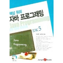 책상 위의 자바 프로그래밍 JDK 5, 정일