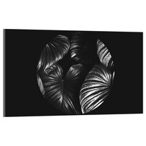 유브이디에스 아트보드 블랙 리프, 1개