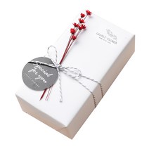 라솔트플라워 카니발 프리저브드 플라워 빼빼로 2p 기프트세트 레드스타, 1세트