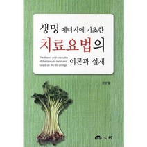 생명 에너지에 기초한 치료요법의 이론과 실제, 대경, 윤성철 저