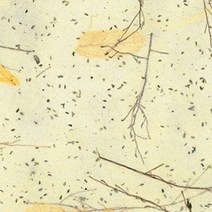 한지로 상록수 636 x 939 mm, 04, 25개입