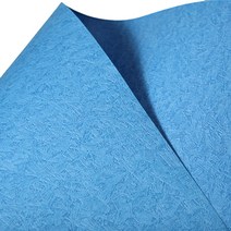 삼원 에코클로스지 S패턴 120g 4절 10청색, 20개입