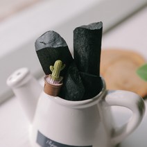 아스파시아 자연인의 집 숯화분 선인장피규어, 1개