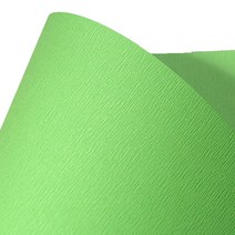 B앤B 복사용지 S9라임 110g, 4절(39 x 54 cm), 40개