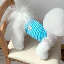 매그독 조안나 끈민소매 크롭 티셔츠, 스카이블루