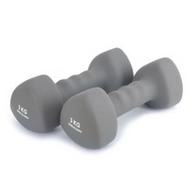 스포뱅크 뉴 해피핸드 네오프랜 아령 3kg, 2개