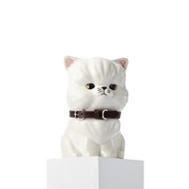 반려동물 유골함 장모고양이 화이트, 1개