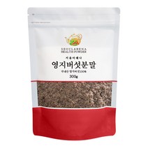 서울아레나 영지버섯 분말, 300g, 1개
