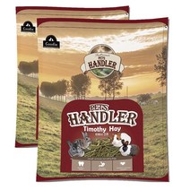 펫츠핸들러 프리미엄 토끼&기니피그 티모시 건초, 500g, 2개