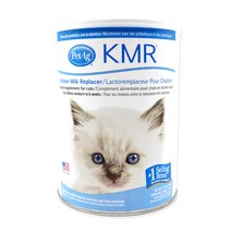 펫에그 고양이 KMR 파우더 초유 분유, 340g, 1개