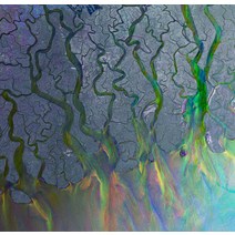 alt-J - An Awesome Wave 영국수입반