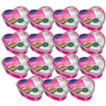 비타크래프트 성묘용 포에시 하트캔 고양이 주식 파우치, 당근 + 시금치, 85g, 15개