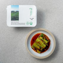 이킴 오이 소박이, 800g, 1개