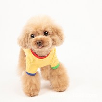 펫츠랜드 배색 단가라 반려동물 티셔츠, 옐로우