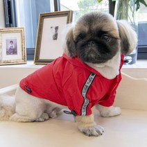 퍼피아 강아지 빛반사 방수 바람막이, 레드