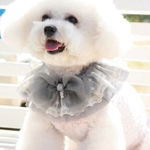 팝앤퍼피 오브제 강아지 케이프 M, 그레이, 1개