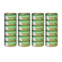 블루마린 엑스트라 아타스캣 고양이캔 80g, 참치 + 틸라피아 혼합맛, 24개