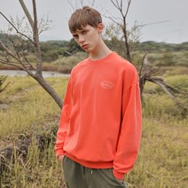 플루크 하이킹 마운틴 피그먼트 맨투맨 FMT736