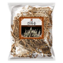 건강중심 건 와송, 200g, 1개