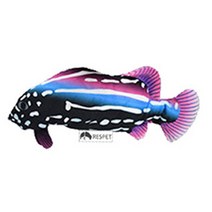 리스펫 빛나는 파닥파닥 움직이는 생선 고양이 자동장난감, 보라돌이, 1개