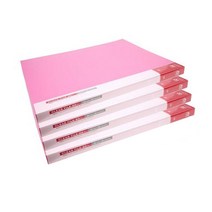 알파 칼라클리어화일 인덱스 A3, 분홍, 4개