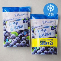 호재준 유기가공식품 인증 블루베리 (냉동), 500g, 2팩