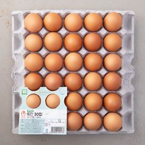 1등급달걀30구 가성비 추천 저렴한곳