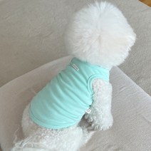 바이담수미 반려동물 베이직 나시, 민트