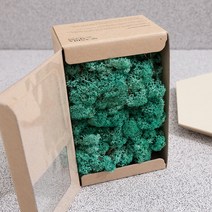 스칸디아모스 이끼 퍼스픽그린 150g, 1개