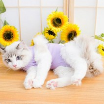 켈리몰 반려동물 중성화 수술복, 보라