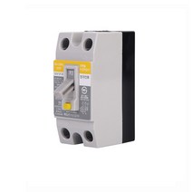 주택용 32A 누전차단기 고감도 D형 소 SG-32Nc 2P, 1개