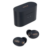 QCY ANC 노이즈 캔슬링 무선 블루투스이어폰, QCY-HT01, 블랙