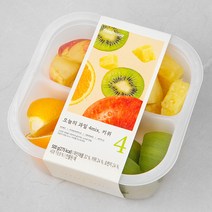 프레시지 오늘의 과일 4mix 키위, 500g, 1팩