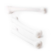 파티해 왕 뼈다귀 모형 3p, 화이트, 1개