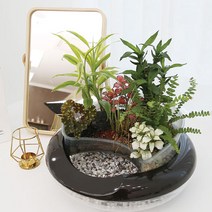 사람과함께 아쿠아포닉스 수경재배 어항 화분 + 수경재배 용토 8종 + 펌프 세트, 혼합색상