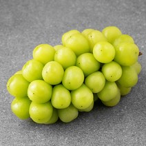 가족 GAP 인증 상주 에이플 샤인머스켓, 600g, 1팩