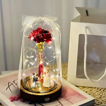 러블리팜 플라워 LED 유리돔 카네이션 + 쇼핑백, 피규어TYPE_프로포즈, 한송이카네이션_레드