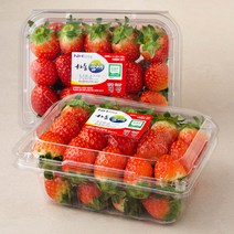 하동품애 GAP 인증 설향딸기, 500g, 2팩