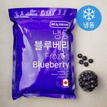 웰프레쉬 캐나다산 블루베리 (냉동), 1.3kg, 1개